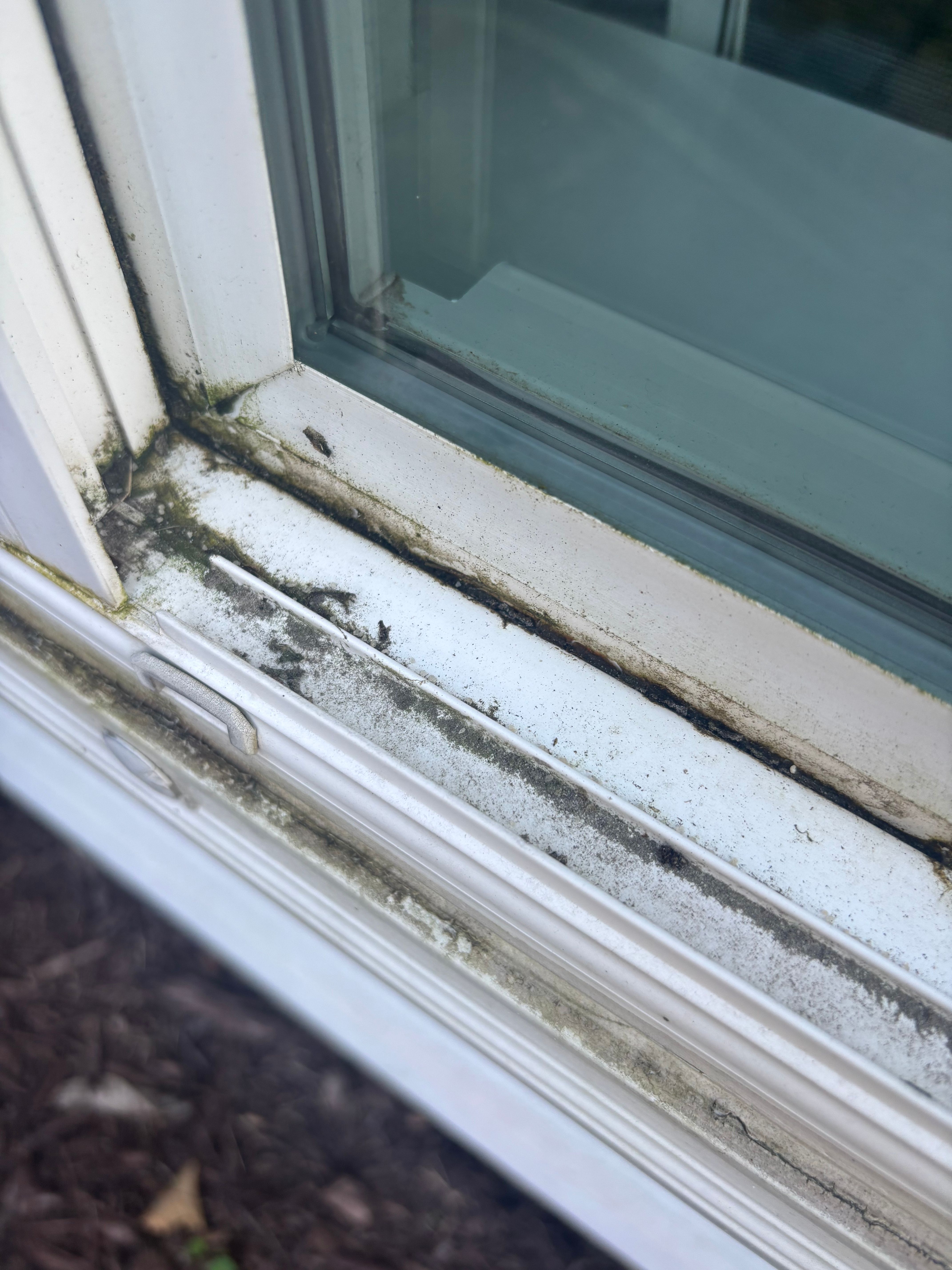 Sills filled with crud, and window panes losing clarity due to pollen